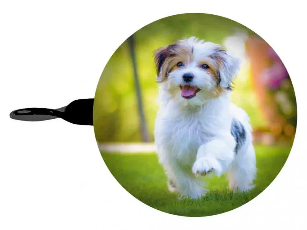 BB Klostermann beBell Klingel bunter Hund Mega-Angebot