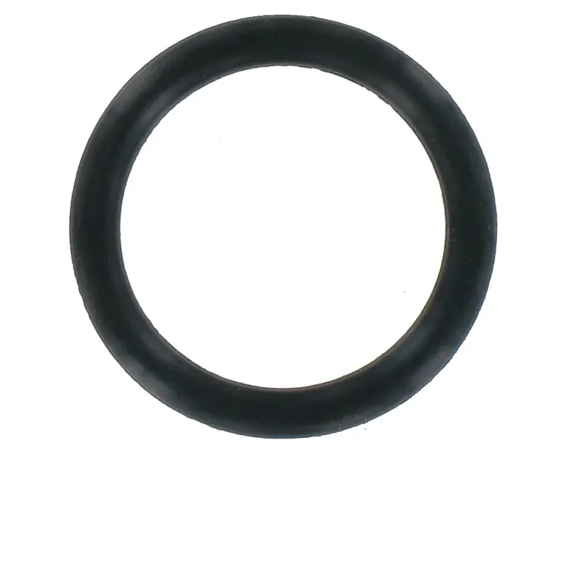 Bestpreis VAR Dichtungsring RP-80204 Schwarz - Ersatzteil für RP-80100 Fahrradpumpe