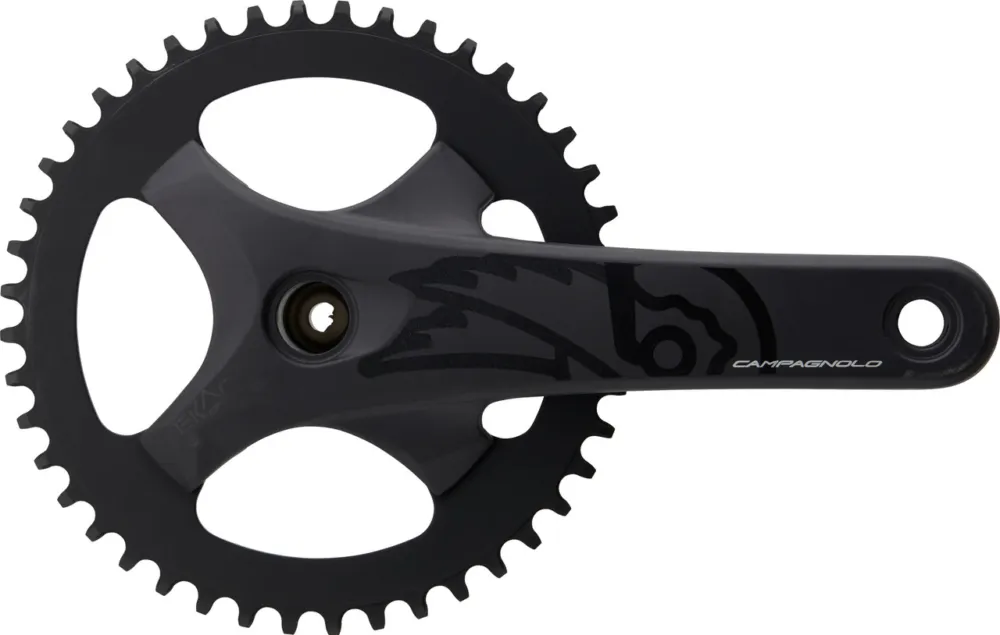 Bestseller Campagnolo Ekar GT ProTech 13-fach Kurbelgarnitur - black | 172,5 mm 42 Zähne