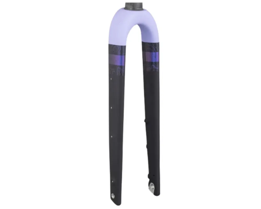 Expressversand Checkpoint ALR 700c Carbon Starrgabel | light purple-grey