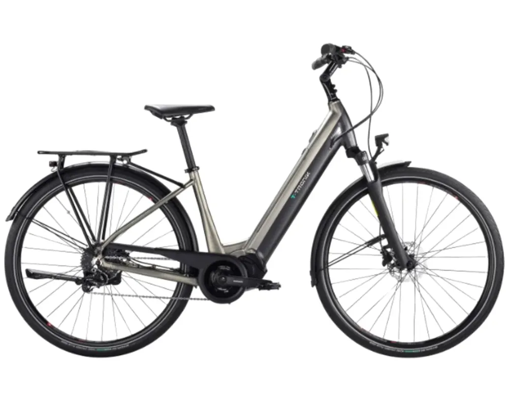 T-Tronik C-Type 9-Gang E6100 - Easy Entry Elektro City Bike | creme-grey 47 cm Begrenztes Angebot