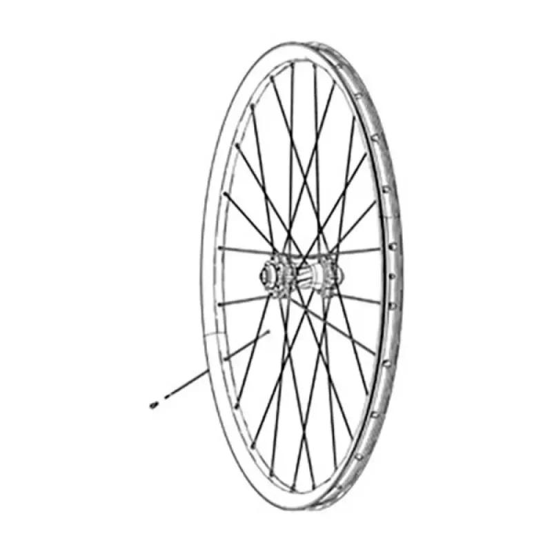 Zipp CX-Ray J-Bend External With Titanium Washers Speiche 3 einheiten - 274 mm Garantierte Lieferung